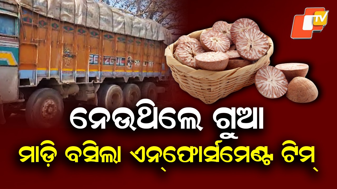 GST Crackdown: ୨୭ ଟନ୍ ଗୁଆ ନେଇ ଯାଉଥିବା ଟ୍ରକ୍ ଜବତ, GST ଏନଫୋର୍ସମେଣ୍ଟ ଟିମର ରେଡ୍ ବେଳେ ଧରାପଡ଼ିଲା