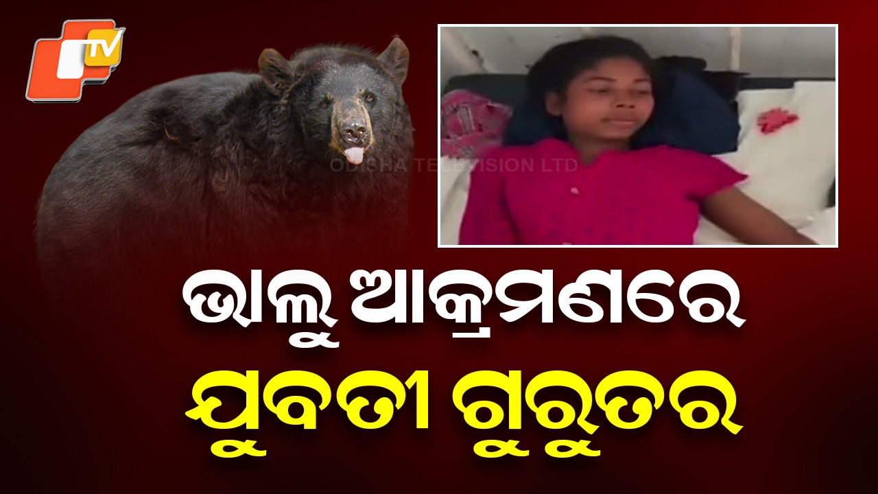 Woman Seriously Injured in Bear Attack: ବିଲ ପାଖରେ ଭାଲୁ ଆତଙ୍କ, କାଠ ଆଣିବାକୁ ଯାଇ ମୃତ୍ୟୁମୁଖରୁ ଫେରିଲେ ଯୁବତୀ