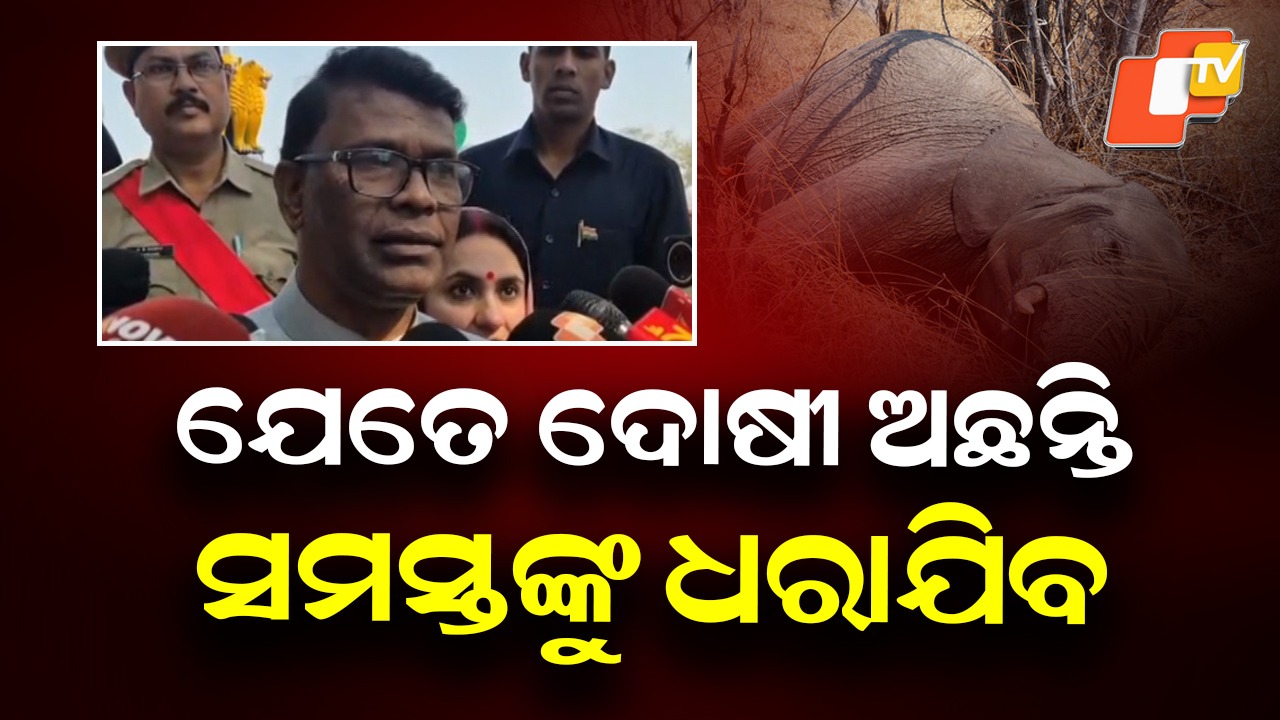 Justice for Elephant: କନ୍ଧମାଳ ହାତୀ ମୃତ୍ୟୁ ଘଟଣା, ଦୋଷୀଙ୍କ ବିରୋଧରେ ହେବ କାର୍ଯ୍ୟାନୁଷ୍ଠାନ