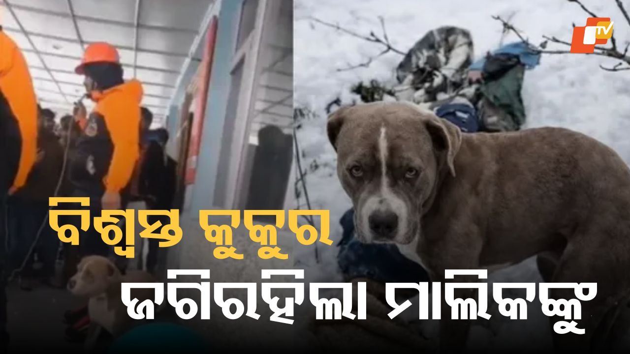 Heartbreaking Scene: ବରଫ ତଳେ ପୋତି ହୋଇ ଦୁଇ ଯୁବକଙ୍କ ମୃତ୍ୟୁ, ଚାରି ଦିନ ଧରି ସେମାନଙ୍କୁ ଜଗିଲା କୁକୁର
