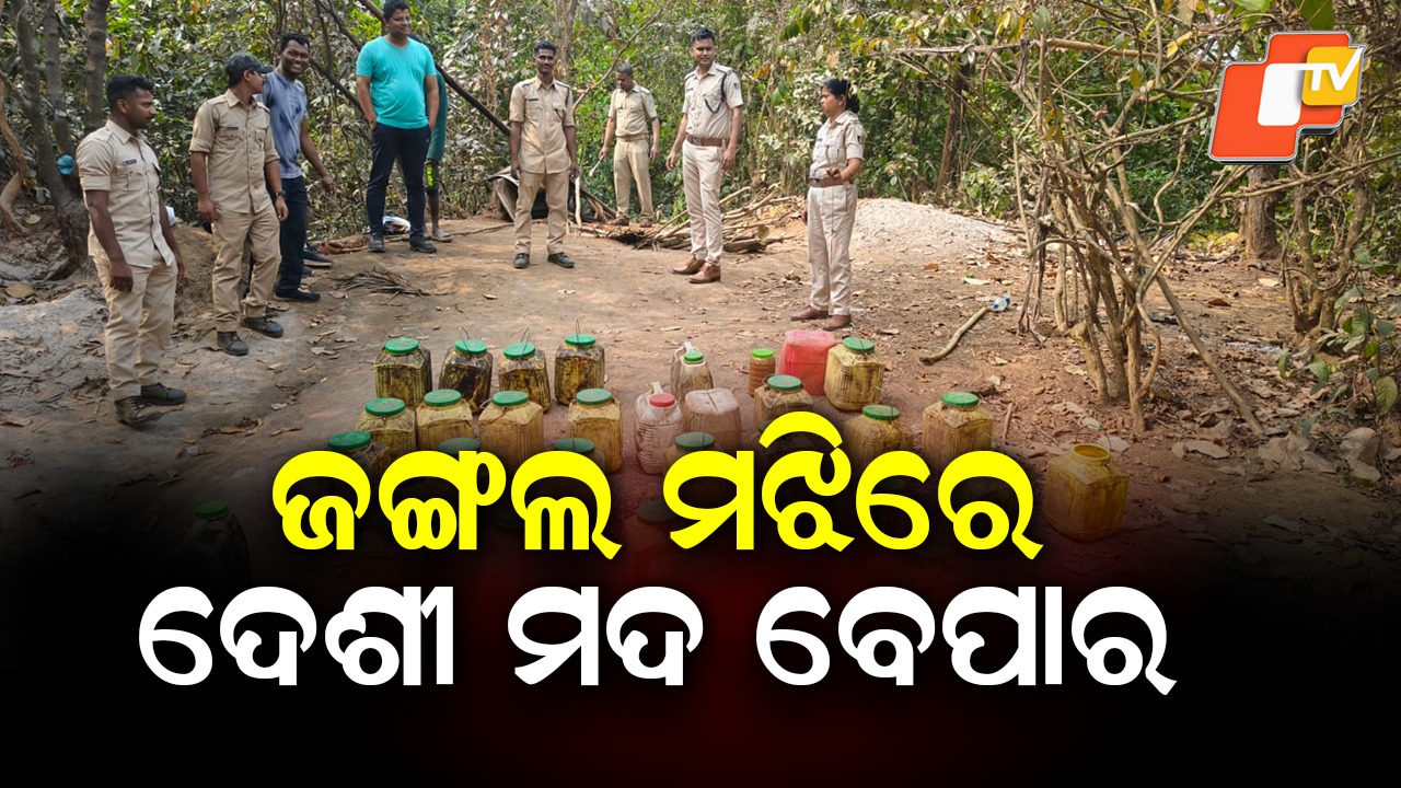 Forest Turned Liquor Hub! : ଘଞ୍ଚ ଜଙ୍ଗଲରେ ଚାଲିଥିଲା ଦେଶୀ ମଦ ବେପାର, ମାଡ଼ି ବସିଲା ପୋଲିସ
