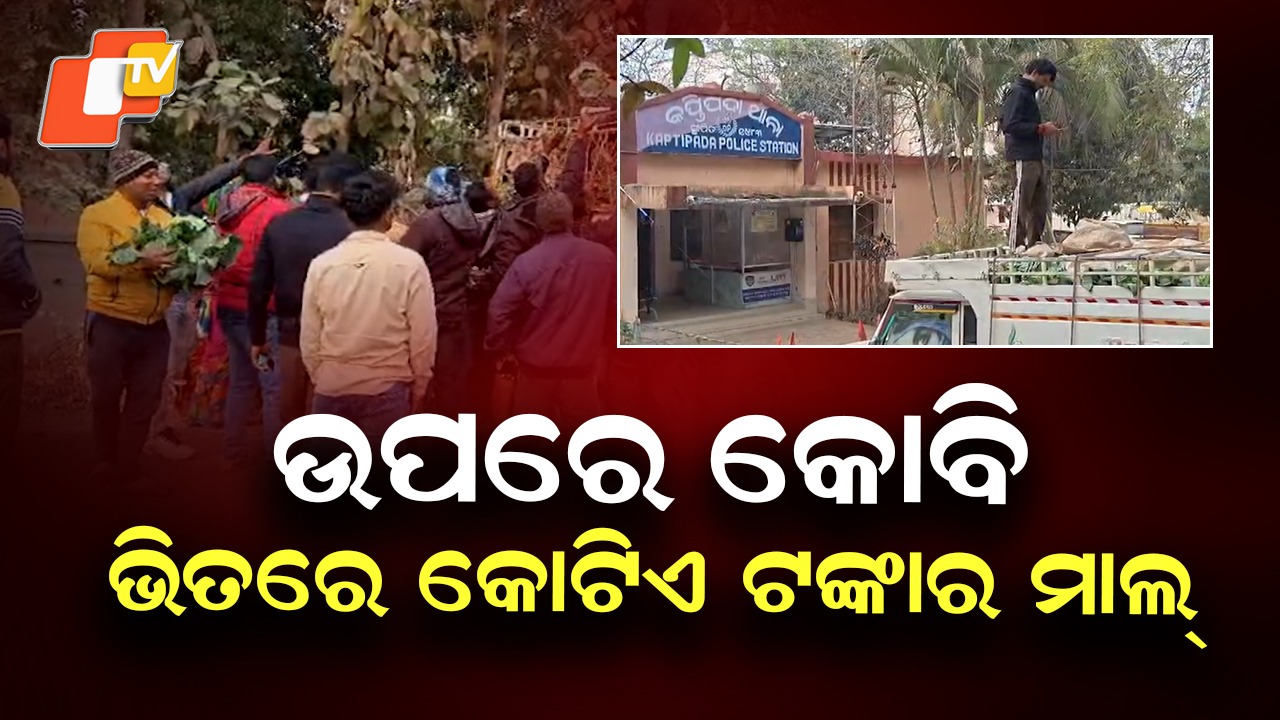 Major Ganja Haul Seized: ଉପରେ ଫୁଲକୋବି ଭିତରେ ଗଞ୍ଜେଇ, ମାଡି ବସିଲା NCB