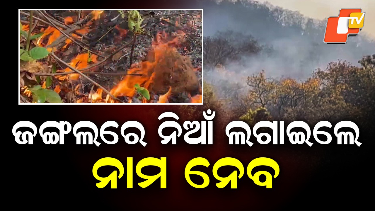 Preparations To Prevent Forest Fire: ଜାଣିଶୁଣି ନିଆଁ ଲଗାଇଲେ କାର୍ଯ୍ୟାନୁଷ୍ଠାନ, ଜଙ୍ଗଲରେ ଜଗିବ କ୍ୟାମେରା