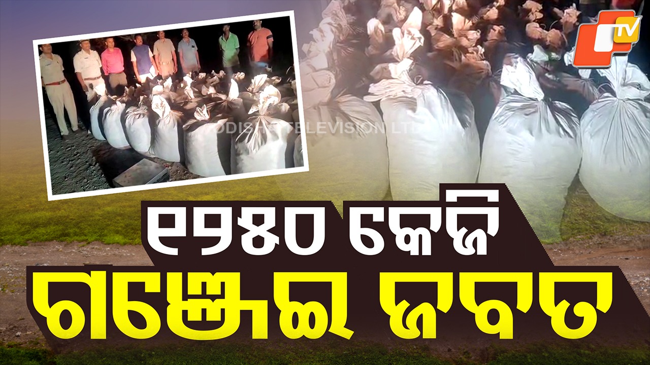 Police Seize Ganja: କୋଟିଏ ଟଙ୍କାର ଗଞ୍ଜେଇ ଜବତ, ମାଫିଆ ଫେରାର