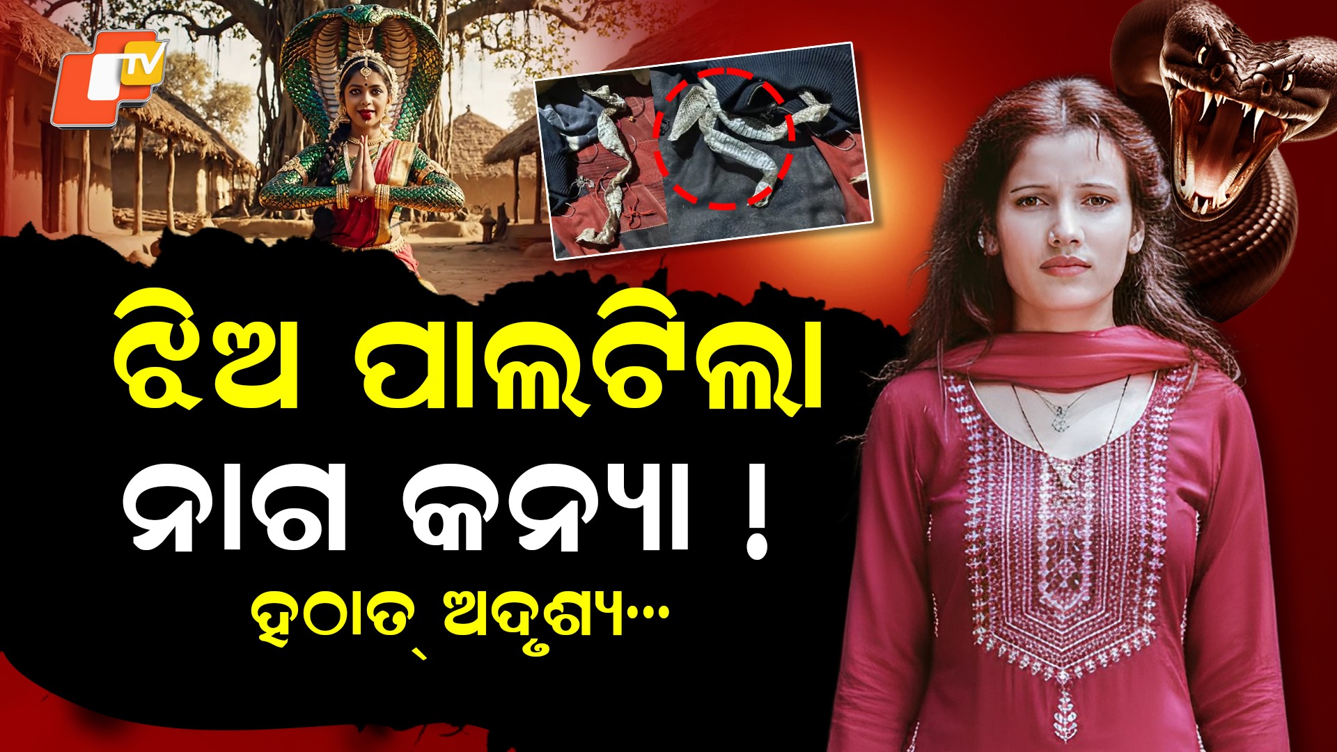 Naagin Girl Mystery: ଝିଅ ପାଲଟିଲା ନାଗ କନ୍ୟା ! କାତି ଛାଡି ହଠାତ୍ ଅଦୃଶ୍ୟ ହୋଇଗଲା...