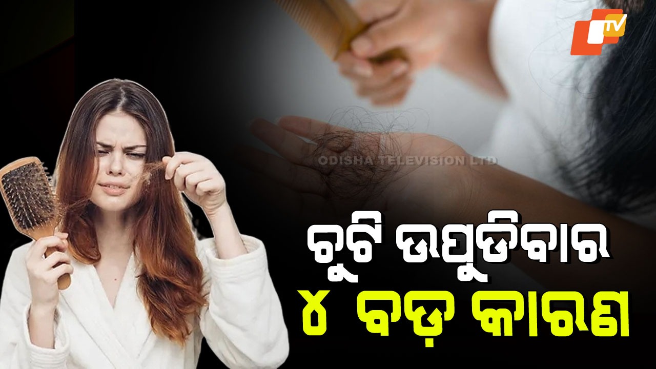 Hair Care Tips For Men and Women: ଅଧିକ ଉପୁଡୁଛି କି ଚୁଟି; ଜାଣନ୍ତୁ ଏହାର ୪ କାରଣ, ସହଜ ଉପଚାର