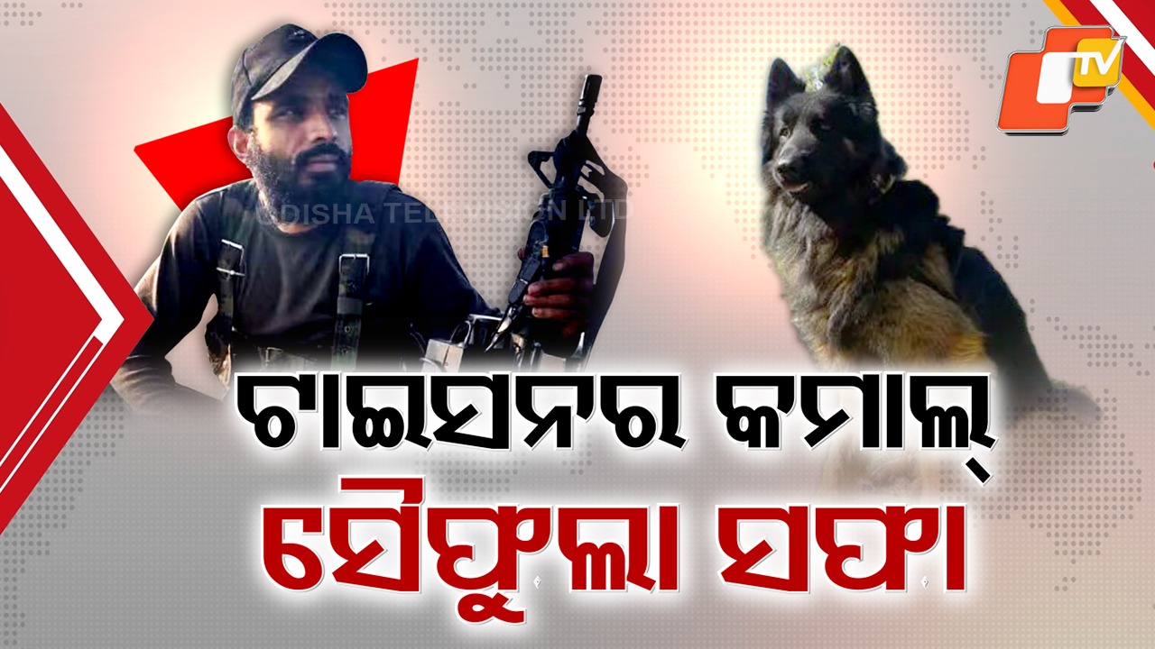 Big Anti-Terror Op in Kashmir: କାଶ୍ମୀରରେ ସେନାର ବଡ଼ ଅପରେସନ୍, ଗୁଳି ଖାଇ ବି ଆତଙ୍କୀ ଠିକଣାରେ ପହଞ୍ଚାଇଲା ‘ଟାଇସନ୍’