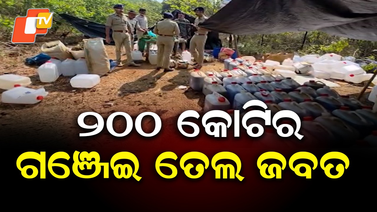 Massive Ganja Seizure in Koraput: ଅପରେସନ ଗ୍ରୀନ କ୍ଲିନ: ୨୦୦ କୋଟିର ଗଞ୍ଜେଇ ତେଲ ଜବତ
