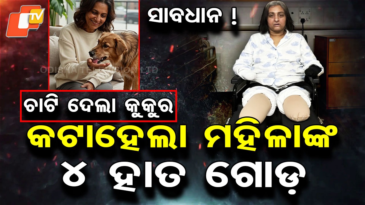 Dog Saliva Risk: କୁକୁର ସହ ଖେଳୁଥିଲେ: ଚାଟି ଦେଲା, ହତ ଗୋଡ଼ କଟା ହେଲା