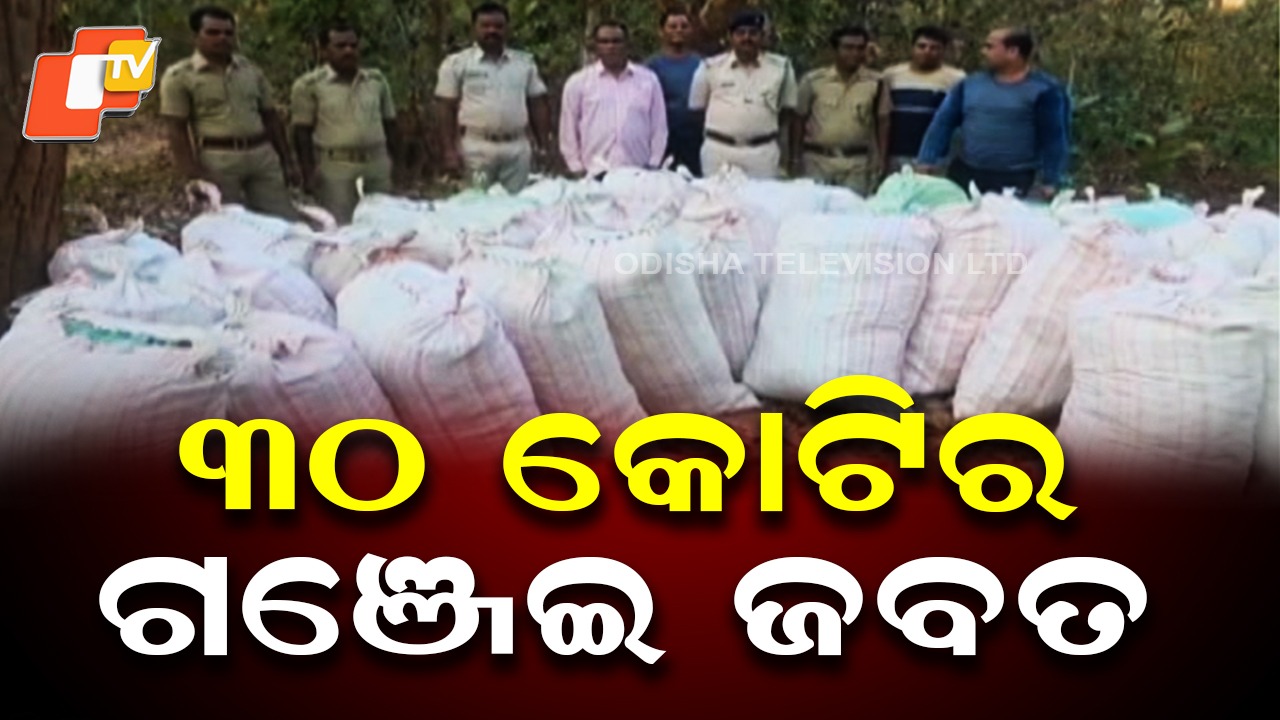 Ganja Seized: ନିଶା କାରବାର ରୋକିବାକୁ ବଡ଼ ଅପରେସନ, ଦୁଇ ଦିନରେ ୨୧ ଟନରୁ ଅଧିକ ଗଂଜେଇ ଜବତ