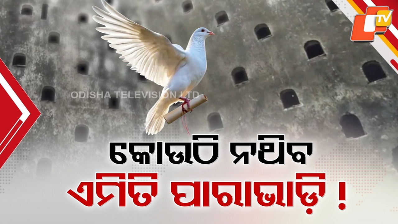 Forgotten History: ପରିଚୟ ଖୋଜୁଛି ଐତିହାସିକ ପାରାଭାଡ଼ି, ପାରାଙ୍କ ଦ୍ବାରା ୪ ଶହ ବର୍ଷ ତଳର ନିଆରା ଡାକସେବାର ଠିକଣା