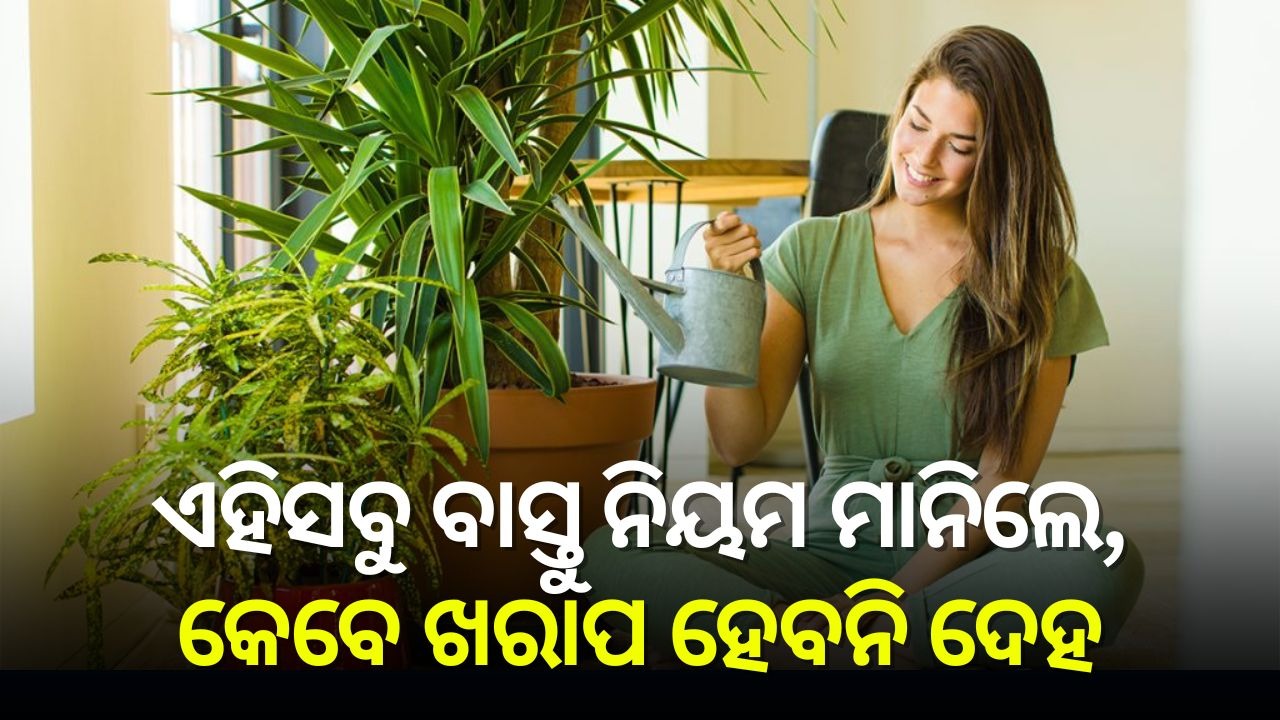Vaastu Tips For Good Health: ଏହିସବୁ ବାସ୍ତୁ ନିୟମ ମାନିଲେ, ଆପଣଙ୍କ ଦେହ କେବେ ଖରାପ ହେବନି
