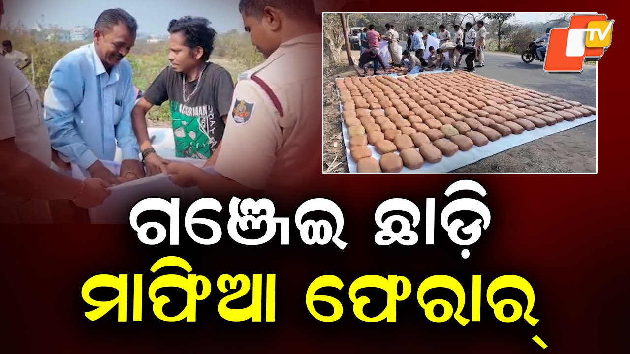 Ganja Seized: ପ୍ୟାକେଟ ଭିତରୁ ବାହାରିଲା ୩ କ୍ବିଣ୍ଟାଲ ଗଞ୍ଜେଇ, ପୋଲିସ କାବା