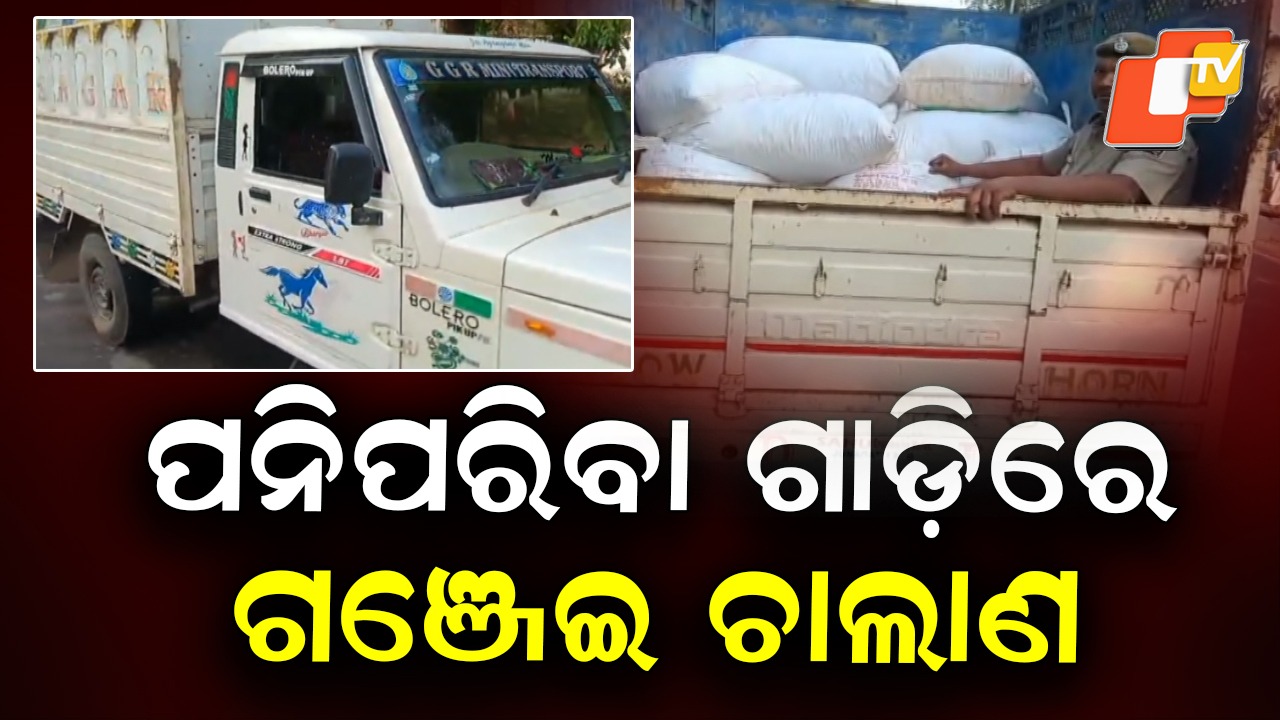 Ganja Smuggling Racket Busted: ବାହାରେ ପନିପରିବା, ଭିତରେ ଗଞ୍ଜେଇ; ମାଡି ବସିଲା ପୋଲିସ୍