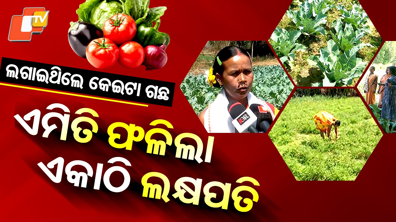 Woman Success Story: ବାଃ ବାଃ ଶମାରୀ ମାଆ, ଏମିତି କଲେ ଦେଖିଲା ଓଡ଼ିଶା