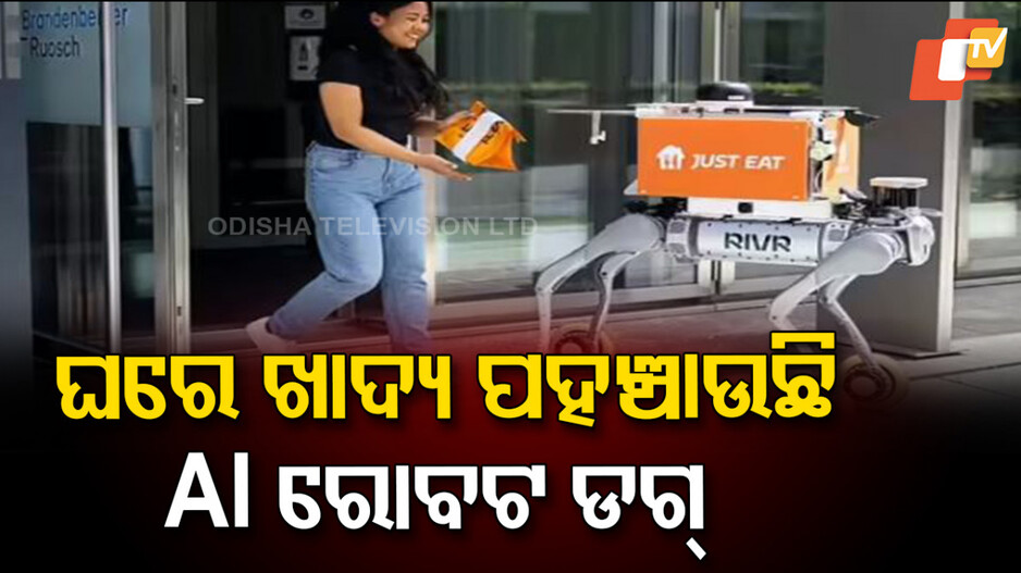 AI Robot Dog: ଏଆଇ ରୋବଟ୍ ଡଗ୍ ଫୁଡ୍ ଡେଲିଭରୀ କରୁଛନ୍ତି, ବର୍ଷା କିମ୍ବା ଝଡ଼ ମଧ୍ୟ ଏମାନଙ୍କୁ ଅଟକାଇ ପାରୁନି