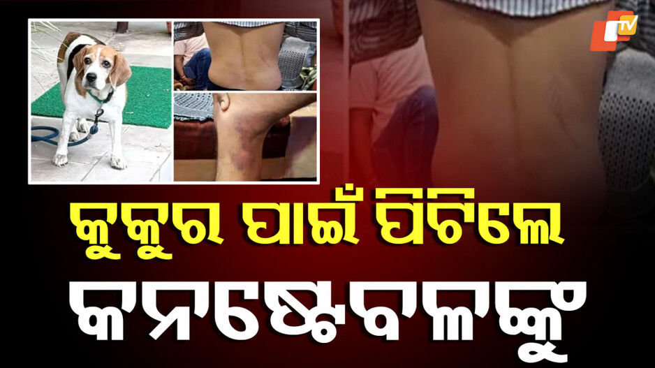 Constable Beaten: ଆରଆଇଙ୍କ କୁକୁର ହଜିଗଲା, କନଷ୍ଟେବଳଙ୍କୁ ରାତିରେ ଘରକୁ ଡାକି ବେଲ୍ଟରେ ପିଟିଲେ