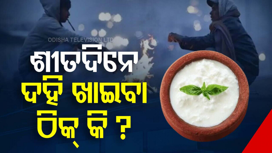 Should You Eat Curd In Winter: ଶୀତଦିନରେ ଦହି ଖାଇବା ଭଲ ନା ଖରାପ ? ଜାଣନ୍ତୁ ଖାଇବାର ସଠିକ ଉପାୟ