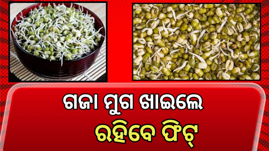 Mung Bean Sprouts Health Benefits: ପ୍ରତିଦିନ ଗଜାମୁଗ ଖାଆନ୍ତୁ , ମିଳିବ ଏହି ସବୁ ଫାଇଦା