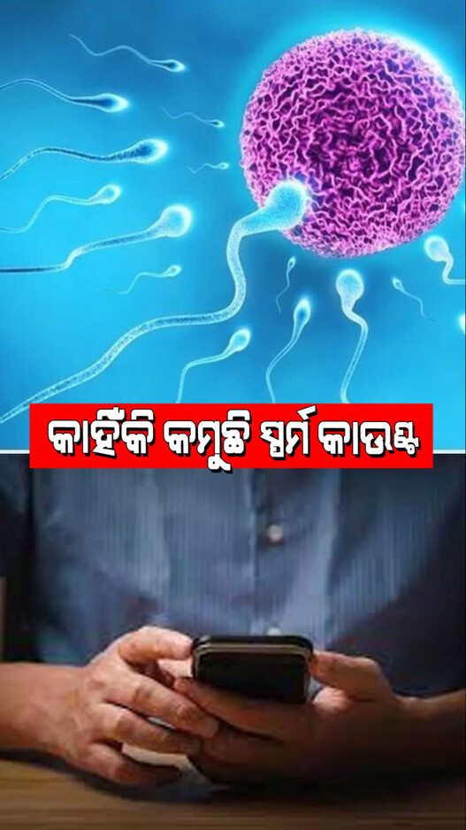 Health Tips: ପକେଟ୍‌ରେ ମୋବାଇଲ୍ ରଖୁଥିଲେ ସାବଧାନ; କମିବ ସ୍ପର୍ମ କାଉଣ୍ଟ୍