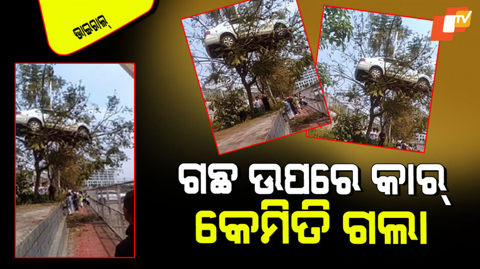 Viral Video: ଗଛ ଉପରେ ଝୁଲୁଛି କାର୍; ଏହା କ’ଣ ଦୁର୍ଘଟଣା…