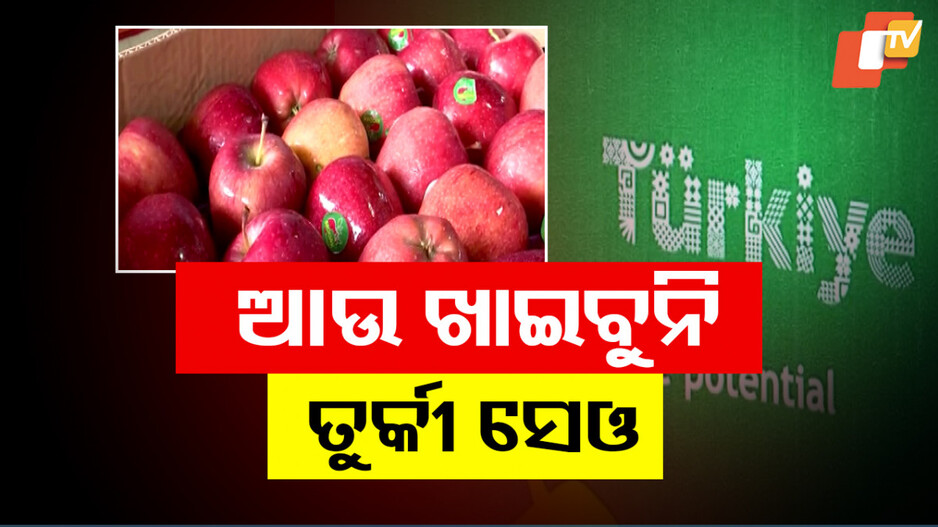 India Turkey Business Ban: ତୁର୍କୀ ସେଓ ବ୍ୟାନ୍ ଅଭିଯାନ, ପାକିସ୍ତାନକୁ ସମର୍ଥନ କରିଥିବାରୁ ସହିବ ଘାଟା