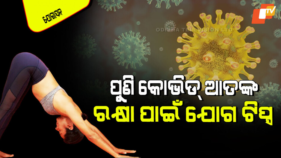 Yogasana: ପୁଣି ଡରାଇଲାଣି କରୋନା ଭାଇରସ୍; ସଂକ୍ରମଣରୁ ରକ୍ଷା ପାଇଁ କରନ୍ତୁ ଏହିସବୁ ଯୋଗାସନ
