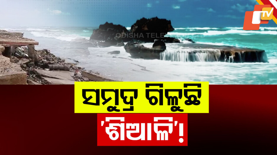 ସମୁଦ୍ର ଆଁକୁ ଚାଲିଯିବ କି ଶିଆଳି ? କ'ଣ କହୁଛନ୍ତି ପରିବେଶବିତ୍ ?