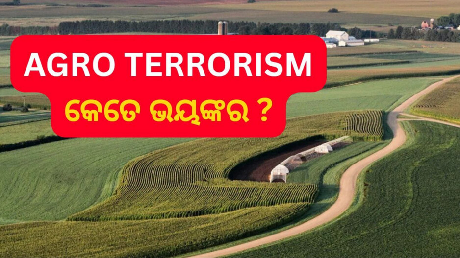 Agro-terrorism: କ’ଣ ଏହି କୃଷି ଆତଙ୍କବାଦ...ଆମେରିକାକୁ ବରବାଦ କରିବାକୁ କ’ଣ ଥିଲା ଚୀନର ସିକ୍ରେଟ ପ୍ଲାନ ?