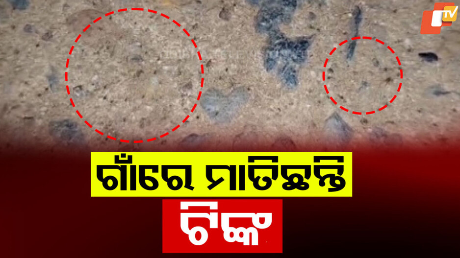 Tick Fear: ଗାଈଗୋରୁ ନୁହେଁ, ମଣିଷ ଦେହରେ ଲାଗୁଛି ଟିଙ୍କ : ସନ୍ଧ୍ୟା ହେଲେ ଲୋକଙ୍କ ରକ୍ତ ଶୋଷୁଛନ୍ତି