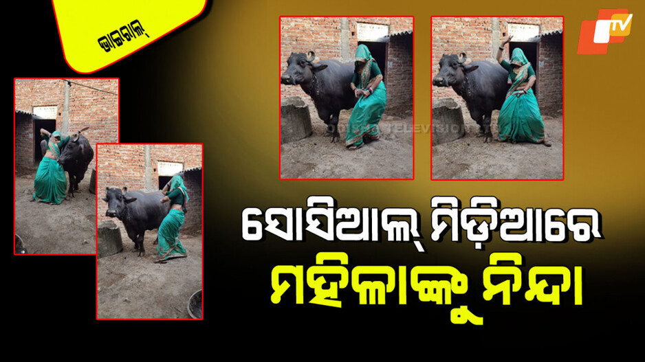 Viral Video: ମଇଁଷୀ ସହ ନାଚୁଛି ଗାଁର ବୋହୂ; ଲୋକେ କହିଲେ ଭାରତୀୟ ସଂସ୍କୃତି-ପରମ୍ପରାର ପରିହାସ