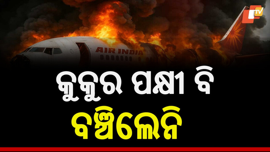 Plane Crash Blaze Reached 1000 degree : ୧.୨୫ ଲକ୍ଷ ଲିଟର ଇନ୍ଧନ, ୧୦୦୦ ଡିଗ୍ରୀ ତାପମାତ୍ରା... କୁକୁର ପକ୍ଷୀ ବି ବଞ୍ଚିଲେନି