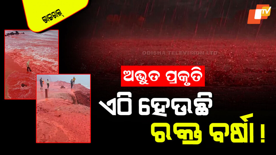 Viral Video: ପ୍ରକୃତି ବଡ ବିଚିତ୍ର… ଏଠାରେ ହେଉଛି ରକ୍ତ ବର୍ଷା… ଯିଏ ଦେଖୁଛି ସିଏ ଆଶ୍ଚର୍ଯ୍ୟ