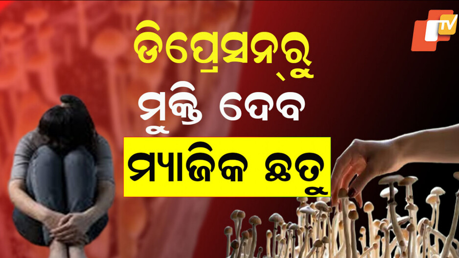 One Dose Of 'Magic Mushrooms': ଡିପ୍ରେସନରୁ ମୁକ୍ତି ଦେବ ‘ମ୍ୟାଜିକ୍ ଛତୁ’ର ଗୋଟିଏ ଡୋଜ୍