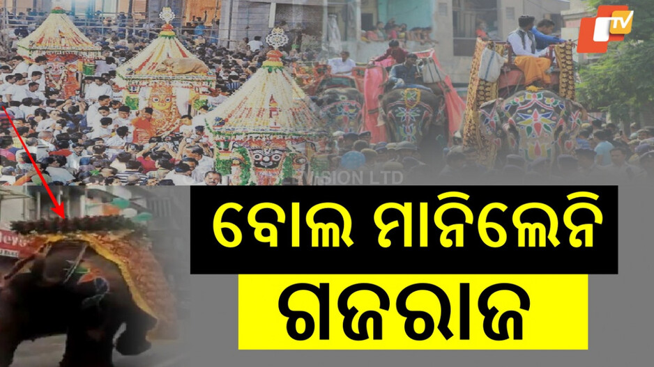 Ahmedabad Rathyatra: ରଥଯାତ୍ରାରେ ଭୟଙ୍କର ଦଳାଚକଟା: ଡିଜେ ସାଉଣ୍ଡ ଶୁଣି ବେକାବୁ ୩ ହାତୀ, ଦୌଡ଼ିଲେ ଲୋକେ