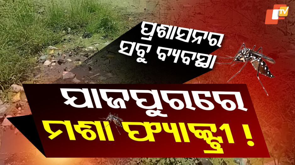 Water Logging Problem: ରାସ୍ତା ଉପରେ ଡ୍ରେନ୍ ପାଣି...ଯାଜପୁରକୁ ଏବେ ଡେଙ୍ଗୁ ଡର, ପ୍ରଶାସନର ନାହିଁ ନଜର