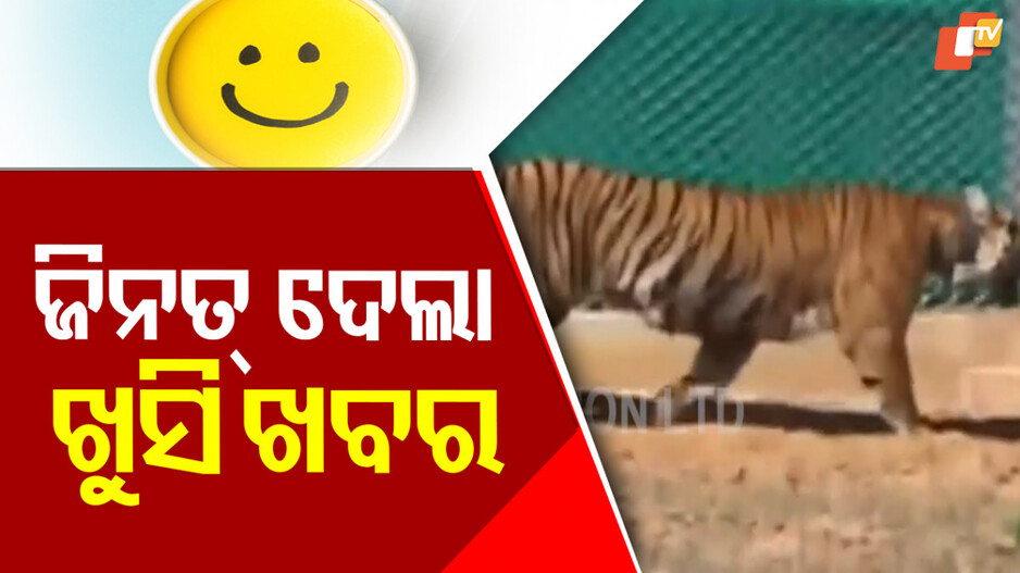 Zeenat Pregnant:ସେପ୍ଟେମ୍ବରରେ ମାଆ ହେବ 'ଜିନତ୍' , ସୂଚନା ଦେଲା ବନ ବିଭାଗ