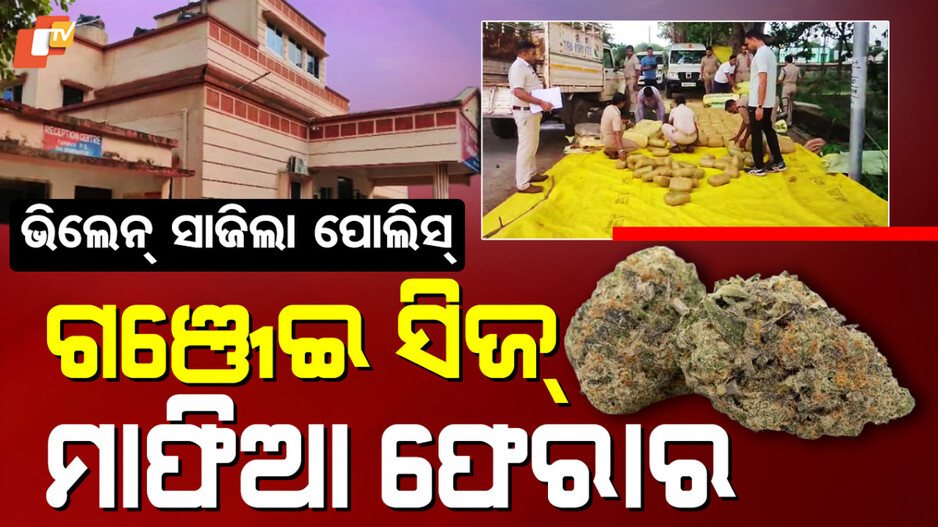 Ganja Mafia Escapes: ଗଞ୍ଜେଇ ସିଜ୍, କିନ୍ତୁ ମାଫିଆ ଫେରାର୍...ବଦନାମ୍ ପୋଲିସ