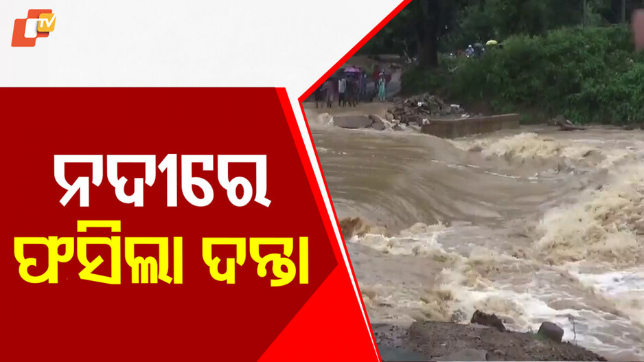 Elephant Struggles in Brahmani River: ବ୍ରାହ୍ମଣୀ ନଦୀରେ ଫସିଲା ଗୋଠଛଡା ଦନ୍ତା...