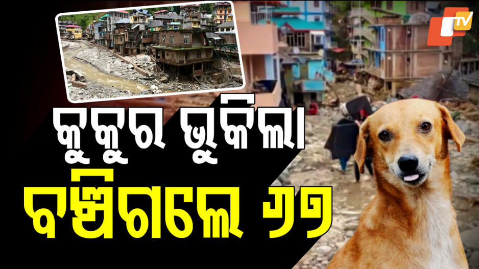 Hero Dog Saves 67 Lives: କୁକୁର ଭୁକିଲା ବୋଲି ବଞ୍ଚିଗଲେ ୬୭ ଜଣ !