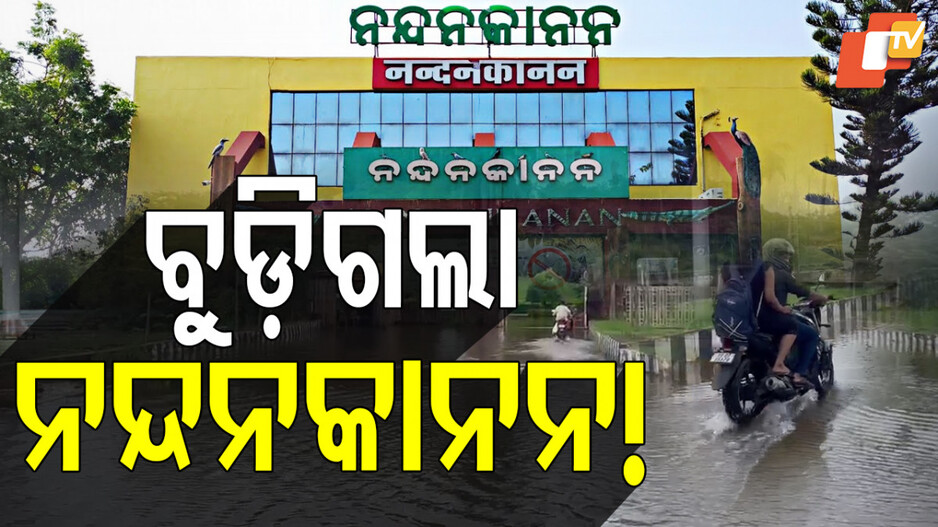 Nandankanan Main Road Flooded: ମରଣଯନ୍ତା ପାଲଟିଛି ନନ୍ଦନକାନନ ମେନ୍ ରୋଡ୍