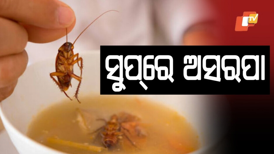 Cockroach Found in Soup: ସୁପ୍ରୁ ବାହାରିଲା ଅସରପା, ହୋଟେଲ ମ୍ୟାନେଜରଙ୍କ ନାଁରେ ମାମଲା ରୁଜୁ