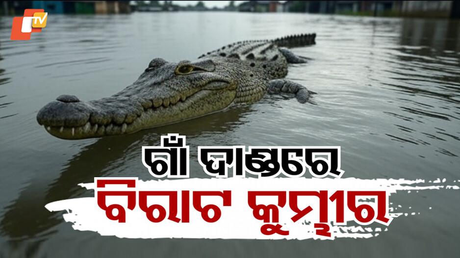 ବନ୍ୟା ବିଭୀଷିକା ଭିତରେ କୁମ୍ଭୀର ଭୟ; ଭୟଭୀତ ଲୋକେ, ରାତିରେ ଘରୁ ବାହାରିବା ମୁସ୍କିଲ...