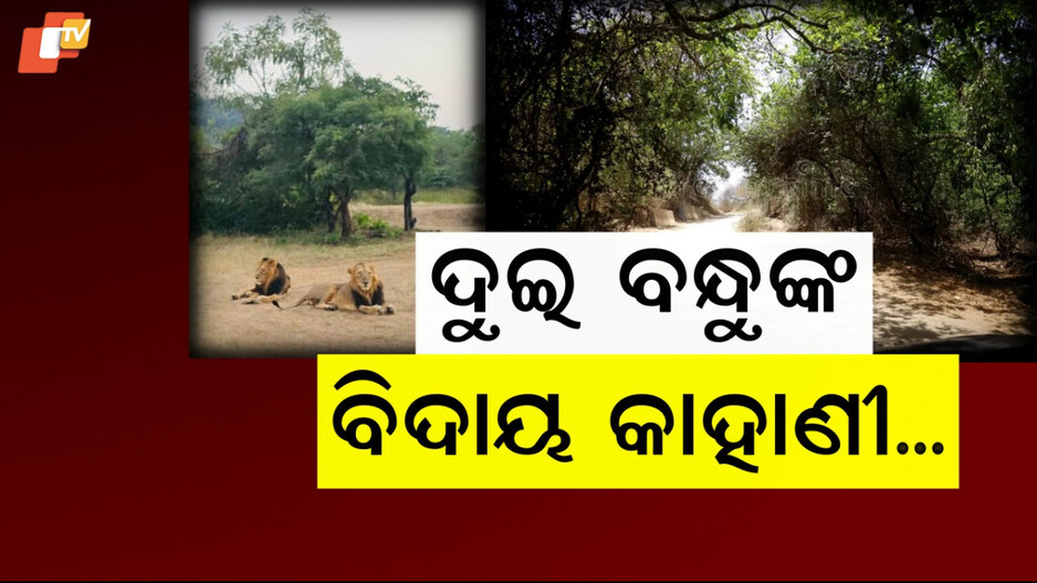 Jay And Veeru: ପାଲଟିଗଲେ ଇତିହାସ, କିନ୍ତୁ ମନେ ରହିବେ ସବୁଦିନ ପାଇଁ...କାହାଣୀ ହିଁ କିଛି ଏଭଳି