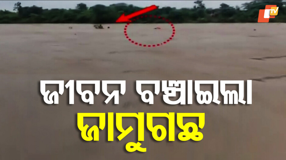 Subarnapur: ଜାମୁଗଛ ଧରି ଜୀବନ ବଞ୍ଚାଇଲେ, ଉଦ୍ଧାର କଲା ଅଗ୍ନିଶମ ବାହିନୀ