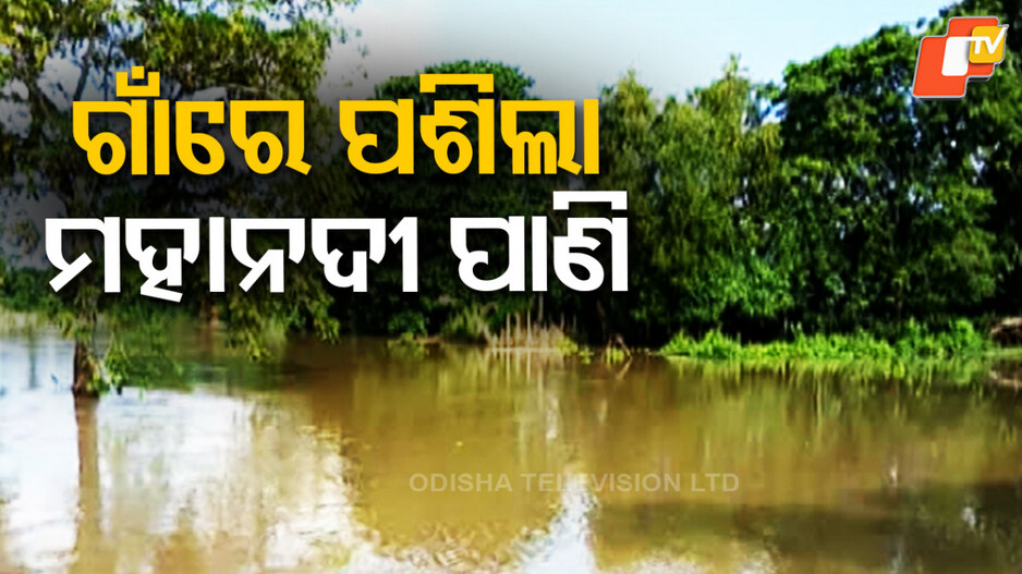 Mahanadi Flood: ଜଳବନ୍ଦୀ ଜଗତସିଂହପୁରର ବିଭିନ୍ନ ଅଞ୍ଚଳ; ଫୁଲୁଛି ମହାନଦୀ, ଗାଁରେ ପଶିଲା ପାଣି...