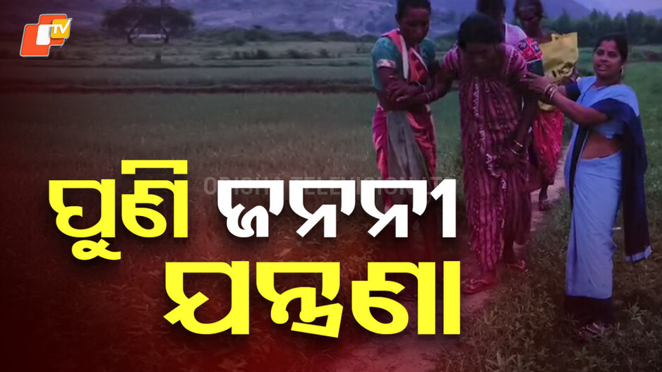 Road Issue : ଗାଁକୁ ଆସିପାରିଲାନି ଆମ୍ବୁଲାନ୍ସ, ଚାଲି ଚାଲି ମେଡ଼ିକାଲ ଗଲେ ପ୍ରସୂତି