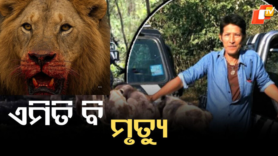 Bangkok Zoo Horror: ଏମିତି ମୃତ୍ୟୁ କେହି କେବେ ଭାବିନଥିବେ ! ଖିନଭିନ କରି ମାରିଲେ...୧୫ ମିନିଟ ଧରି ଝୁଣି ପକାଇଲେ