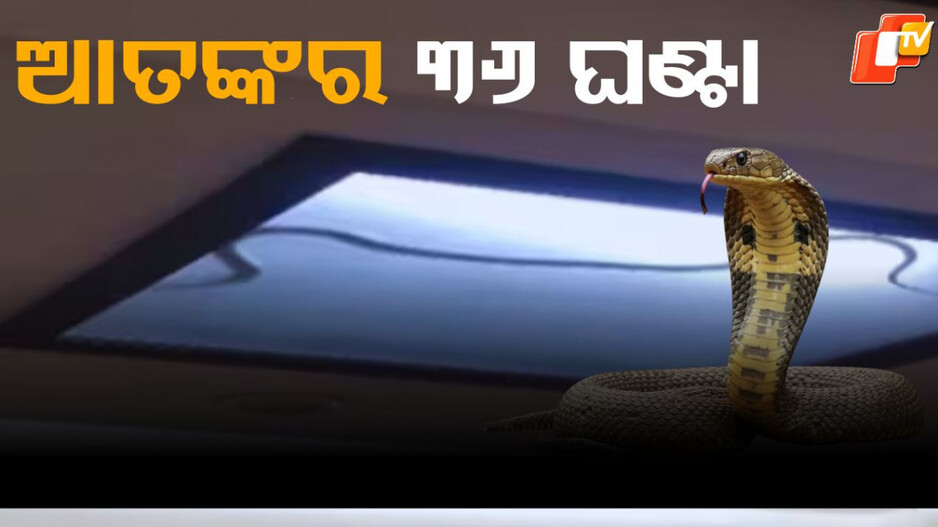 Horror: ୩୬ ଘଣ୍ଟାର ଆତଙ୍କ, ଗୋଟିଏ ରୁମରେ ବନ୍ଦ ହୋଇରହିଲେ ପୂରା ପରିବାର...ରୋଷେଇ ଘରେ ଥିଲା ମୃତ୍ୟୁ
