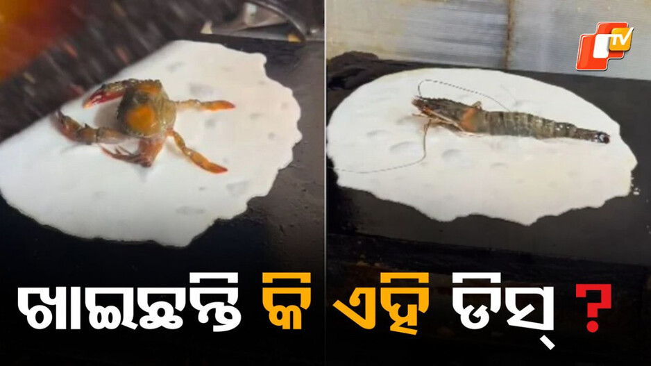 Crab Rice Crackers: ଏହି ଡିସକୁ ଦେଖି ଲୋକଙ୍କ ମୁଣ୍ଡ ଘୂରାଇଦେଉଛି, ସୋସିଆଲ ମିଡିଆରେ ହେଉଛି ଭାଇରାଲ